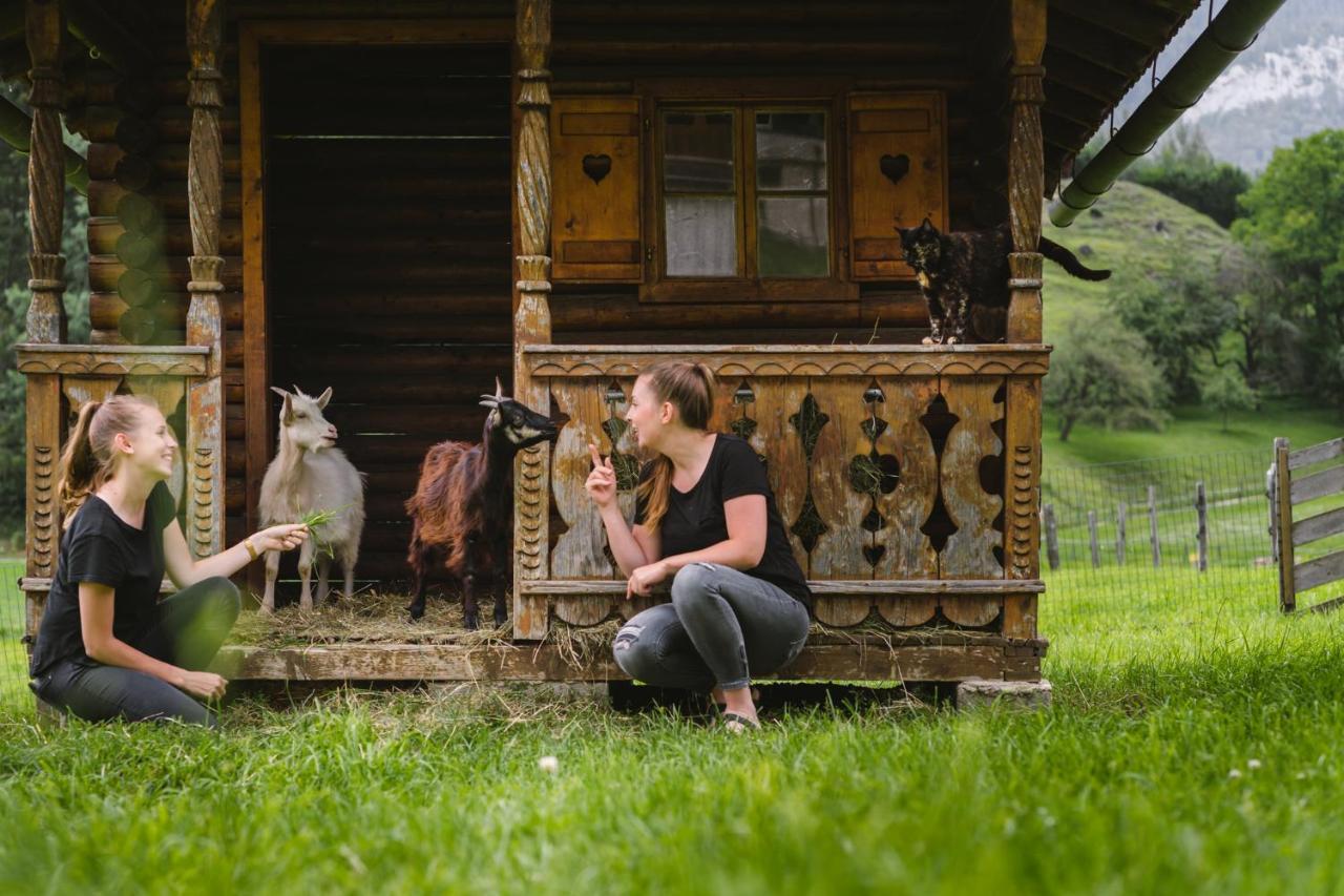 Pension Glitschnerhof Aigen im Ennstal Extérieur photo