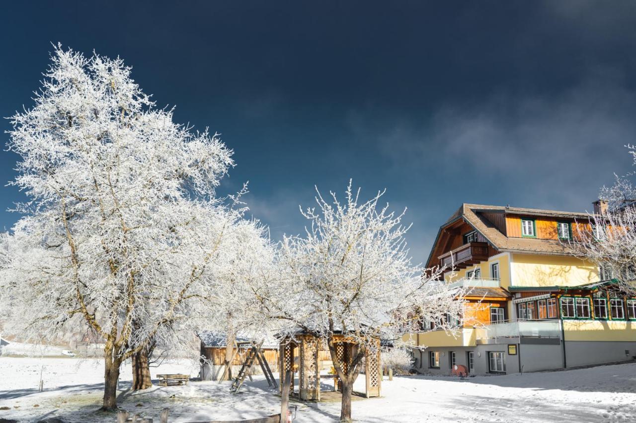 Pension Glitschnerhof Aigen im Ennstal Extérieur photo