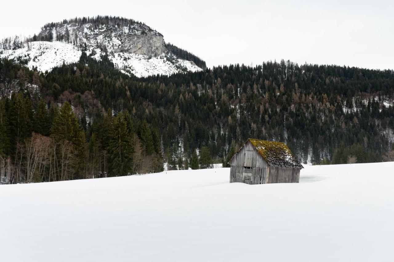 Pension Glitschnerhof Aigen im Ennstal Extérieur photo