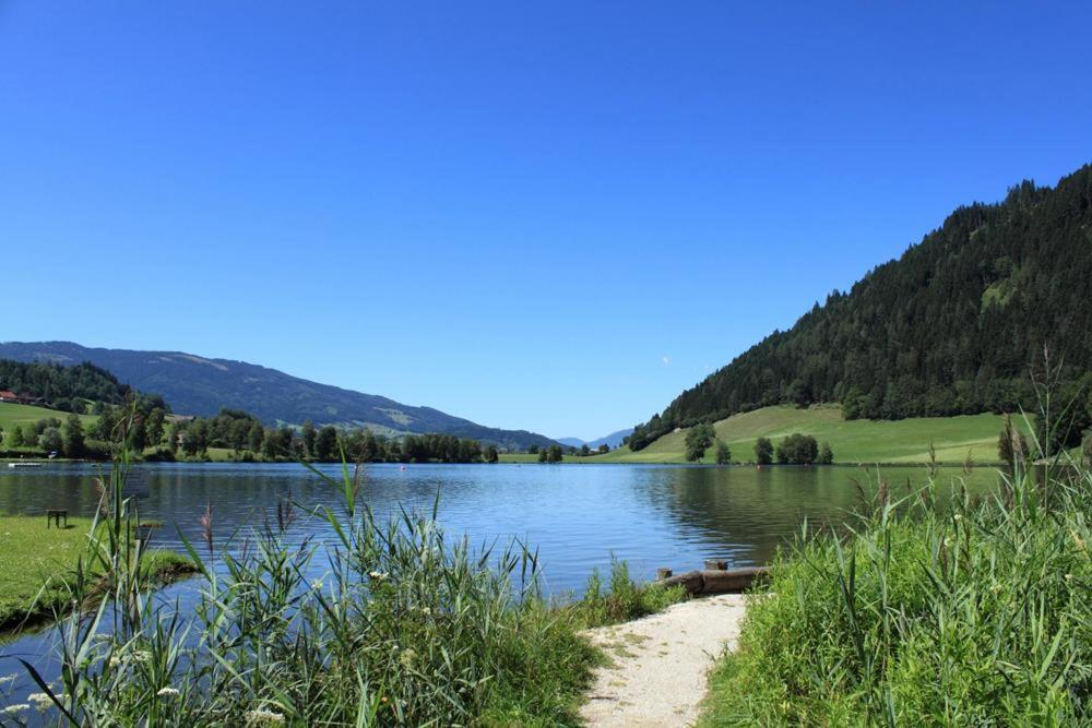 Pension Glitschnerhof Aigen im Ennstal Extérieur photo