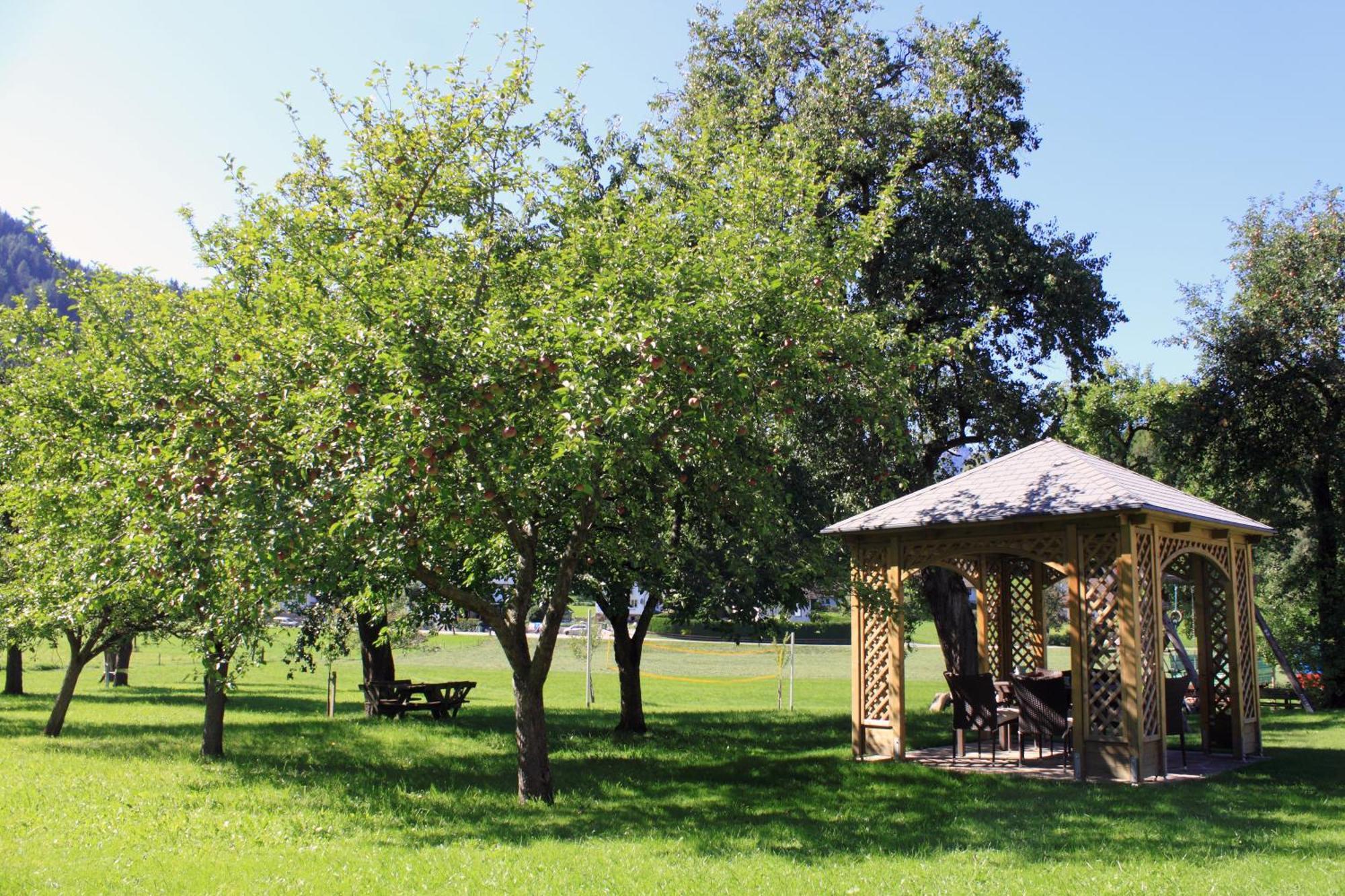 Pension Glitschnerhof Aigen im Ennstal Extérieur photo