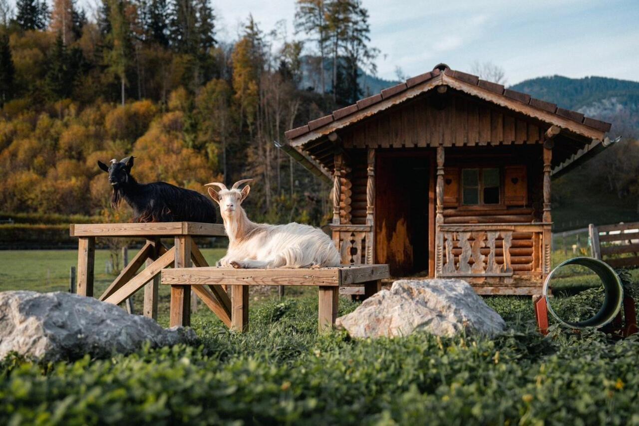 Pension Glitschnerhof Aigen im Ennstal Extérieur photo